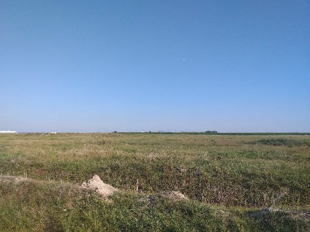 Vedere a terenului extravilan din Dudeștii Noi